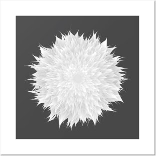 Geometric Frost Flower in Black and White Posters and Art